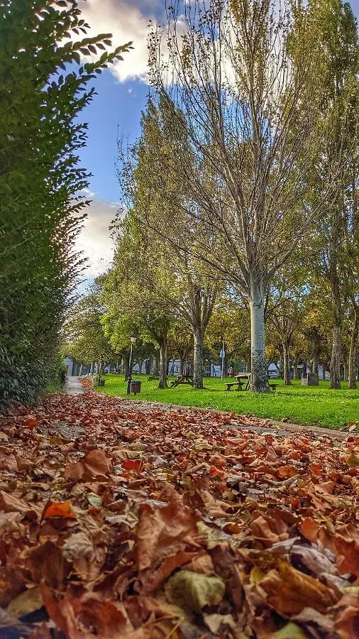 דירות ברמאו Apartamento Turistico Izokin1
